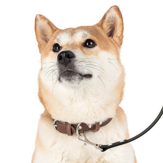 Dog Leash | Walking Dogs - Cats and Dog Leash