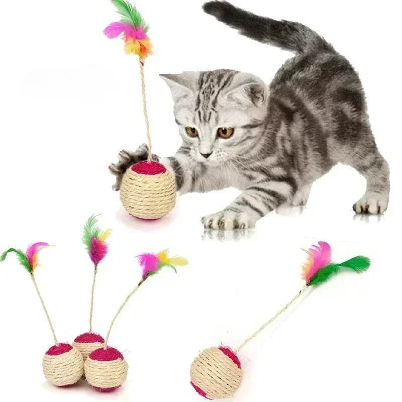 Cat Scratching Ball | Training Interactive Toy for Kitten - Pet Toys