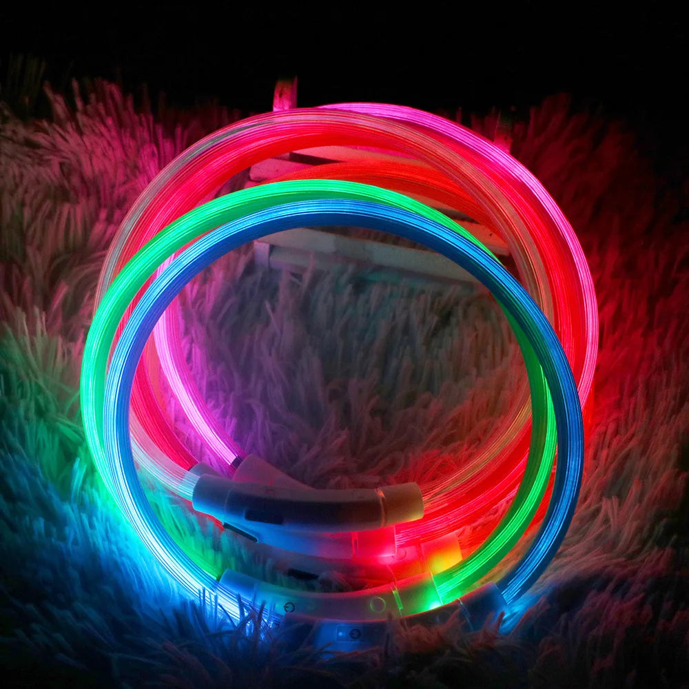 FREE | Luminous Usb Pet Collar Pay Only Shipping - Glowing Loss Prevention