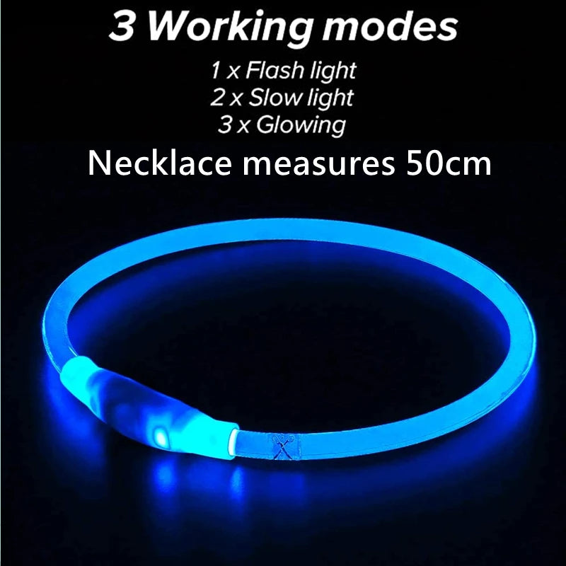 FREE | Luminous Usb Pet Collar Pay Only Shipping - Glowing Loss Prevention