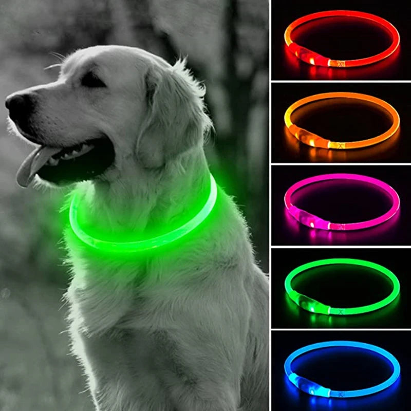 FREE | Luminous Usb Pet Collar Pay Only Shipping - Glowing Loss Prevention