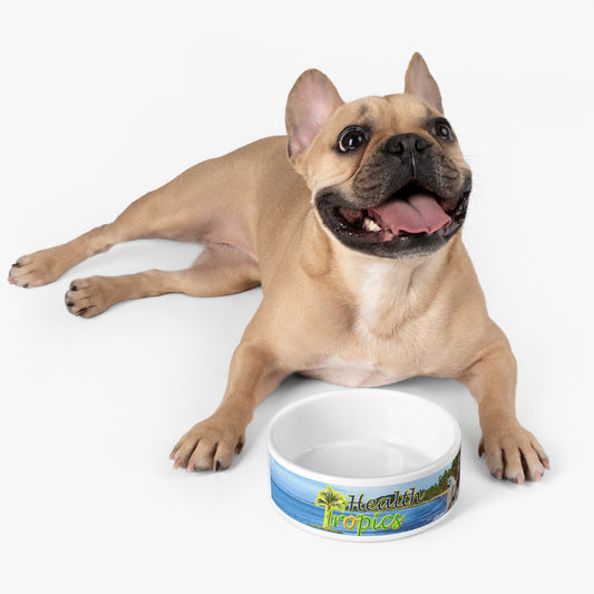 Pet Bowl | Food and Water Bowls - Dogs and Cats