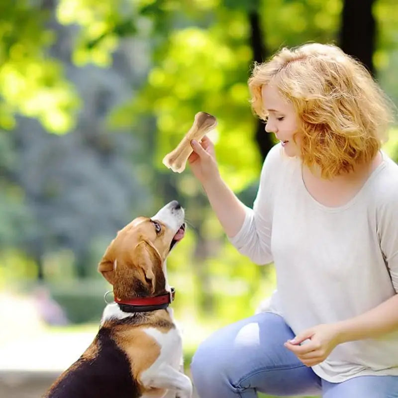 Dog Teething Bone | Beef Flavored Bone for puppies - Safe Molar Teeth Clean Stick