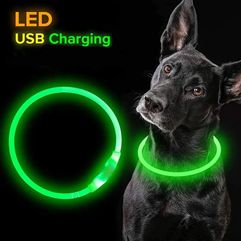 FREE | Luminous Usb Pet Collar Pay Only Shipping - Glowing Loss Prevention